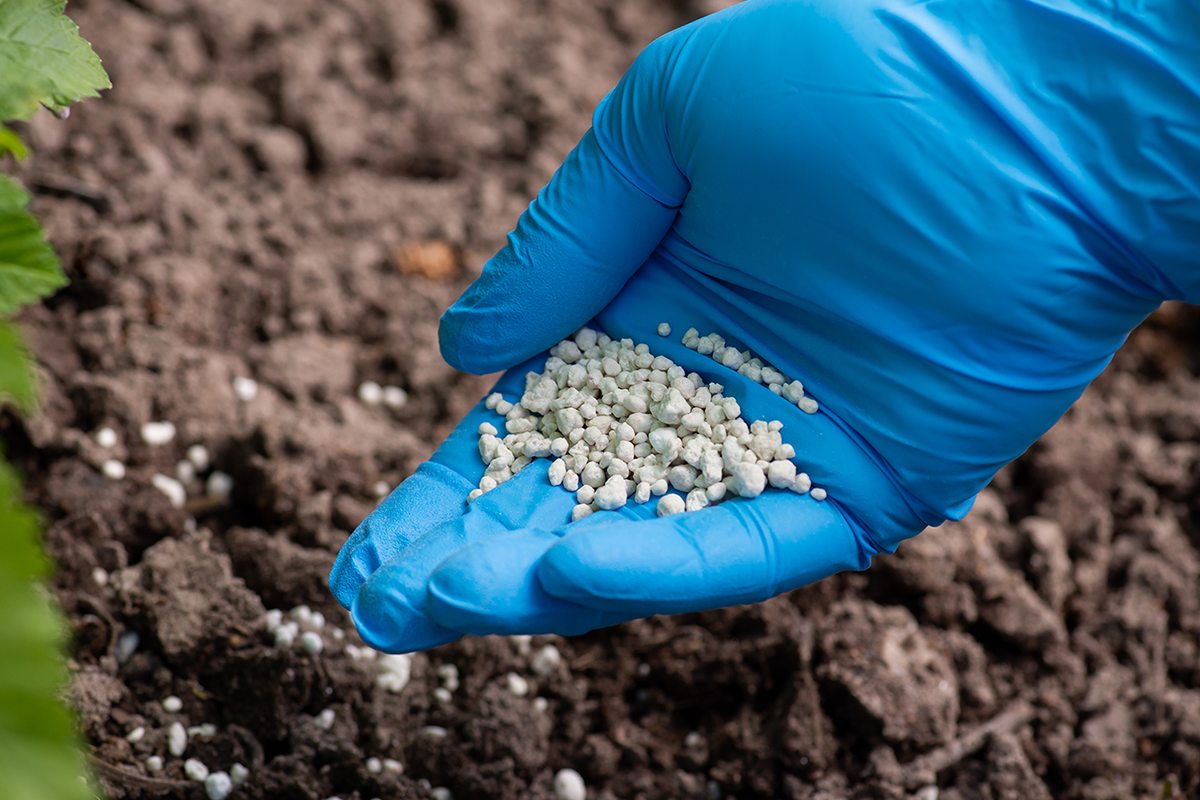 Fertilizers Bentonite
